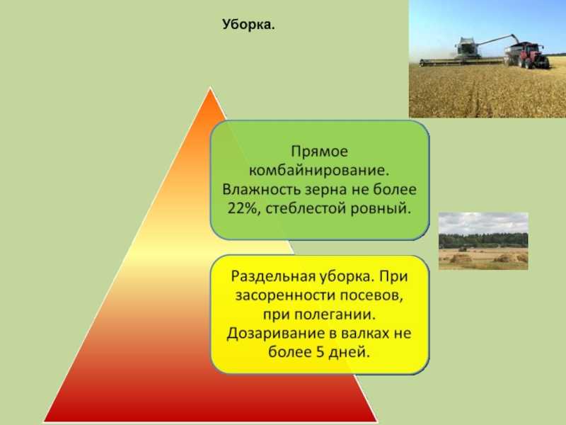 Сельскохозяйственные и мелиоративные машины