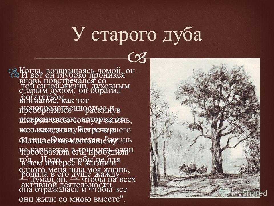 Комплексное планирование кружковой работы «лесной теремок» по экологическому воспитанию детей старшего дошкольного возраста