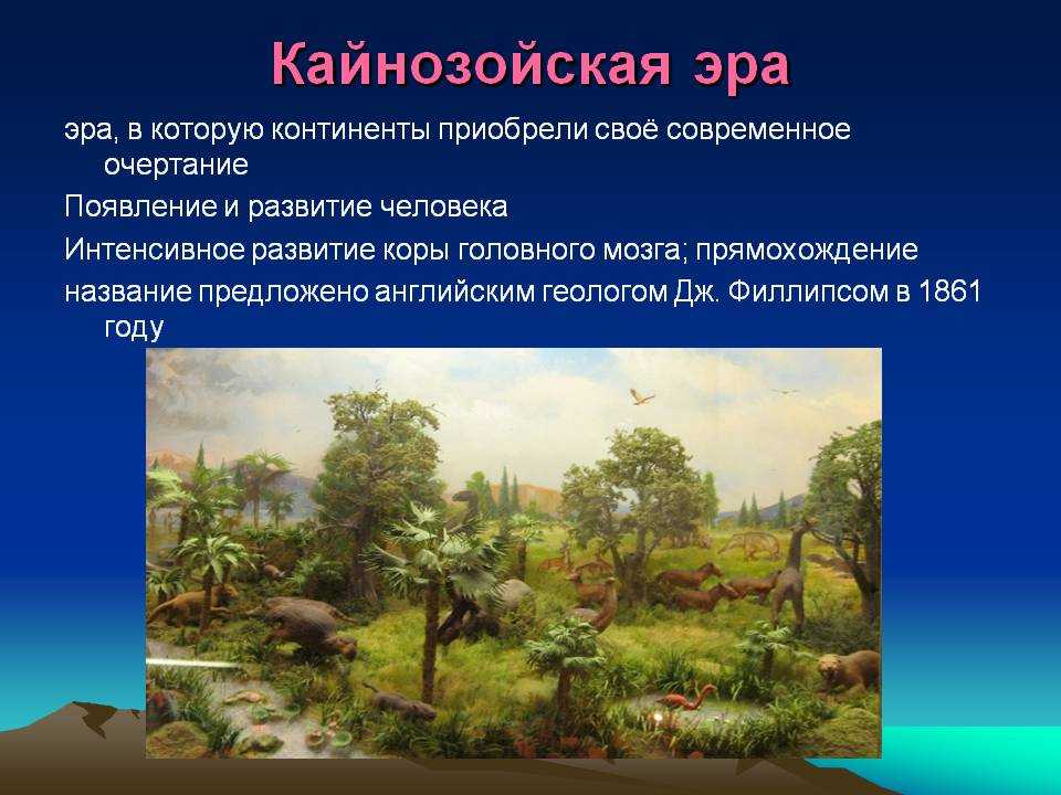 Что такое кайнозойская эра и развитие жизни на земле в кайнозойскую эру