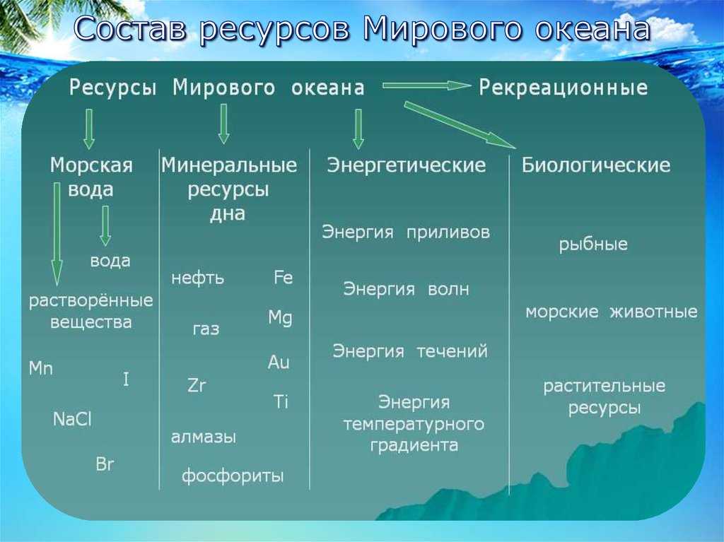 Реферат на тему: ресурсы мирового океана и перспективы их использования