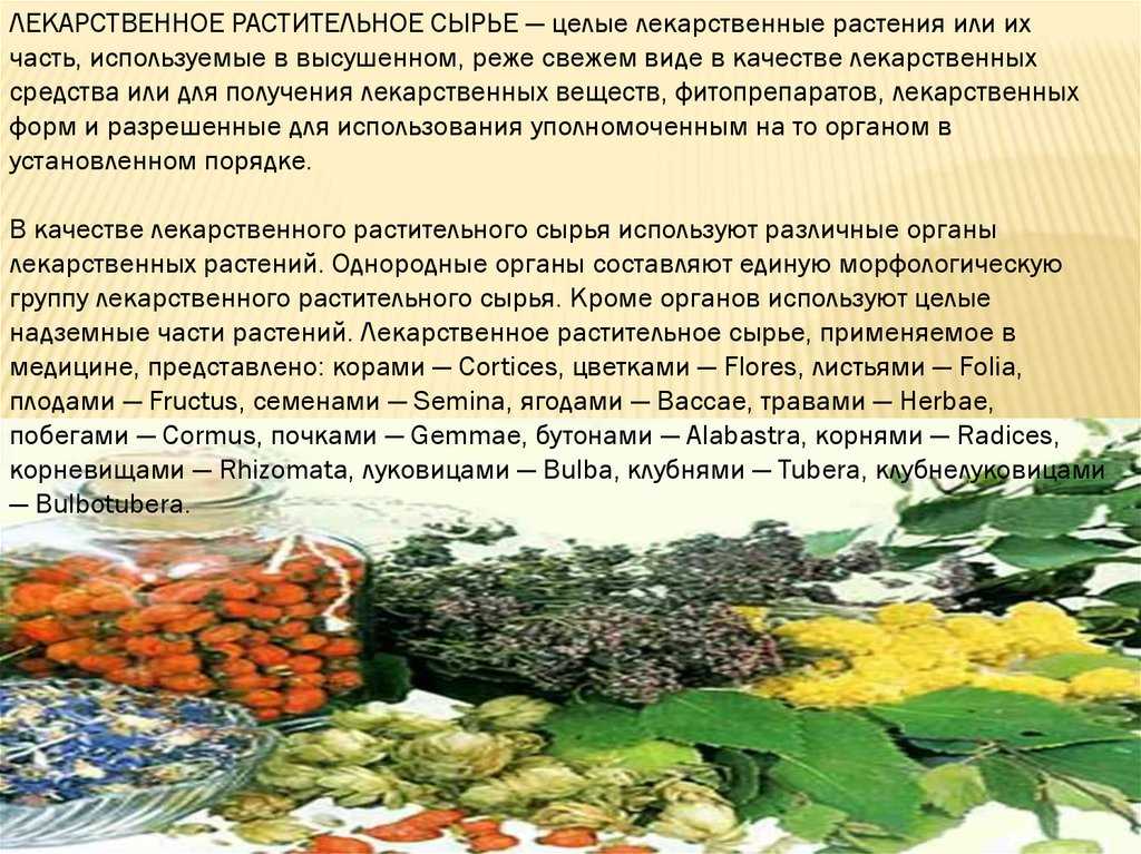 Особенности заготовки и переработки лекарственного сырья растительного происхождения - аналитэксперт