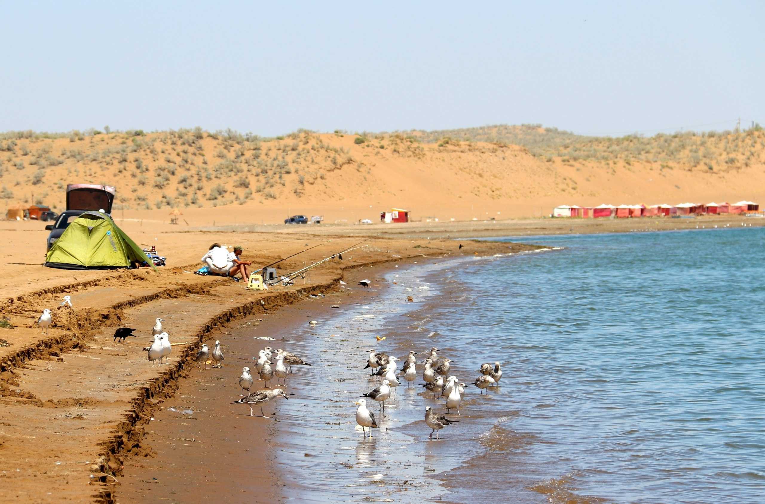 Шардаринское водохранилище