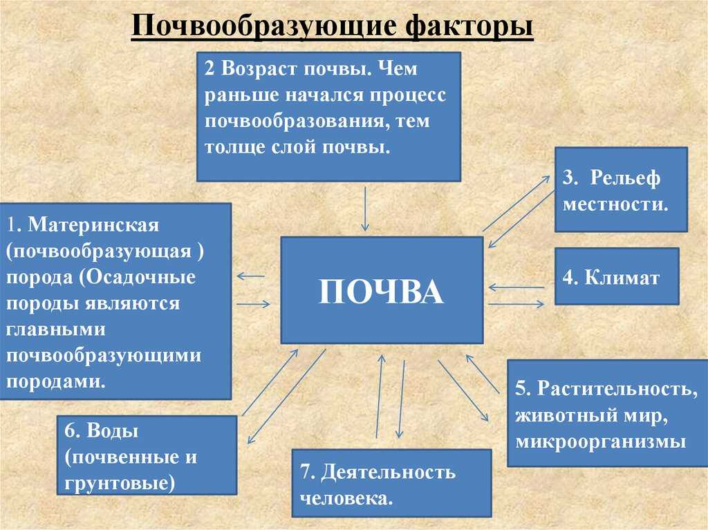 Почвообразовательный процесс