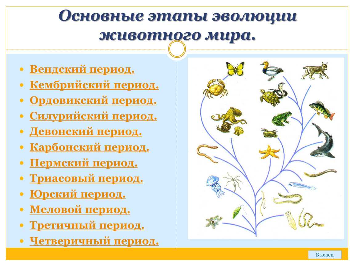 Когда на земле появились животные?