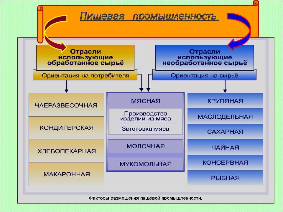 Характеристика плесневых грибов