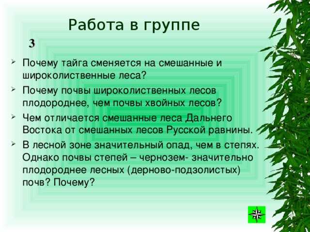 Зона муссонных хвойно-широколиственных (смешанных) лесов российского дальнего востока. общий обзор