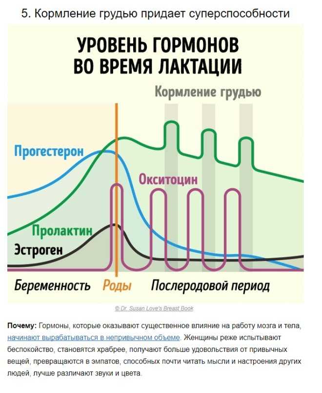 2.1 молочная продуктивность. биологические особенности и продуктивность крупного рогатого скота - реферат