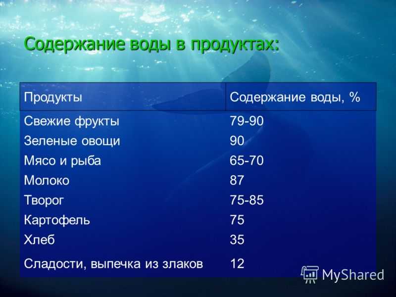 Почему в мясе вода. почему в мясе содержится вода
