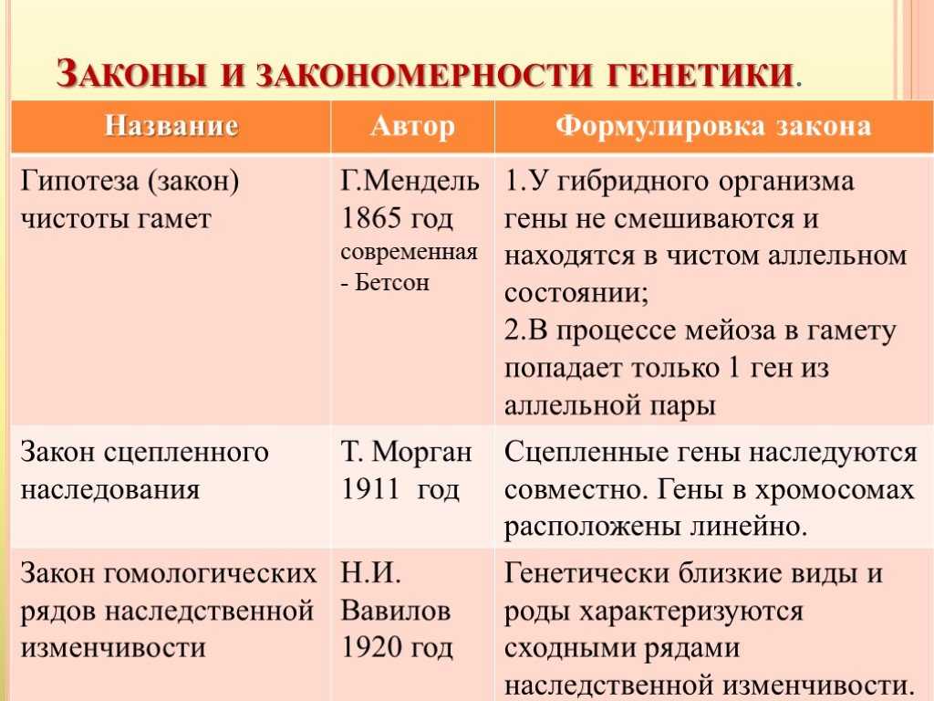Гибридологический метод менделя, первый и второй законы
