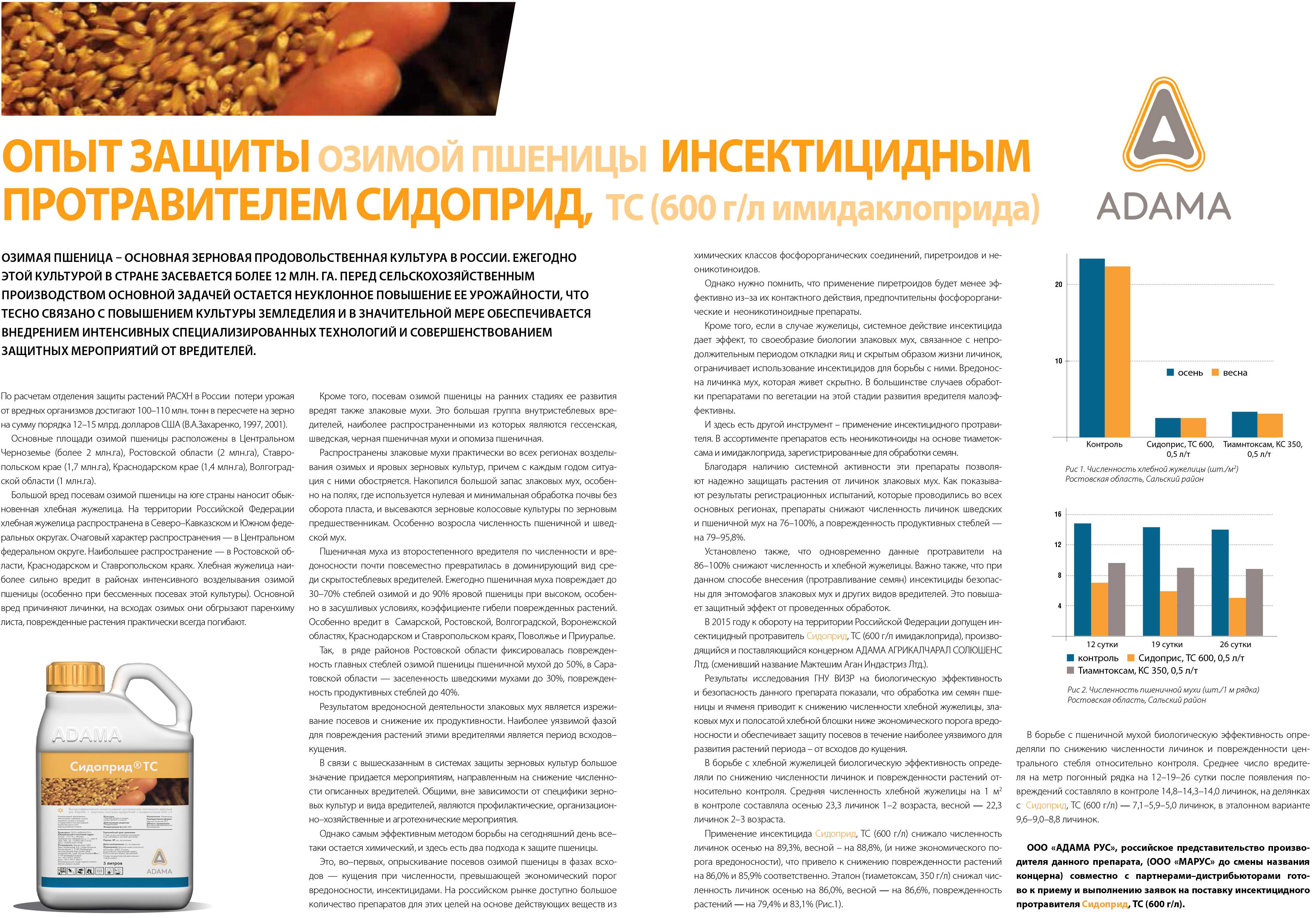 Крестоцветные блошки – как бороться и победить