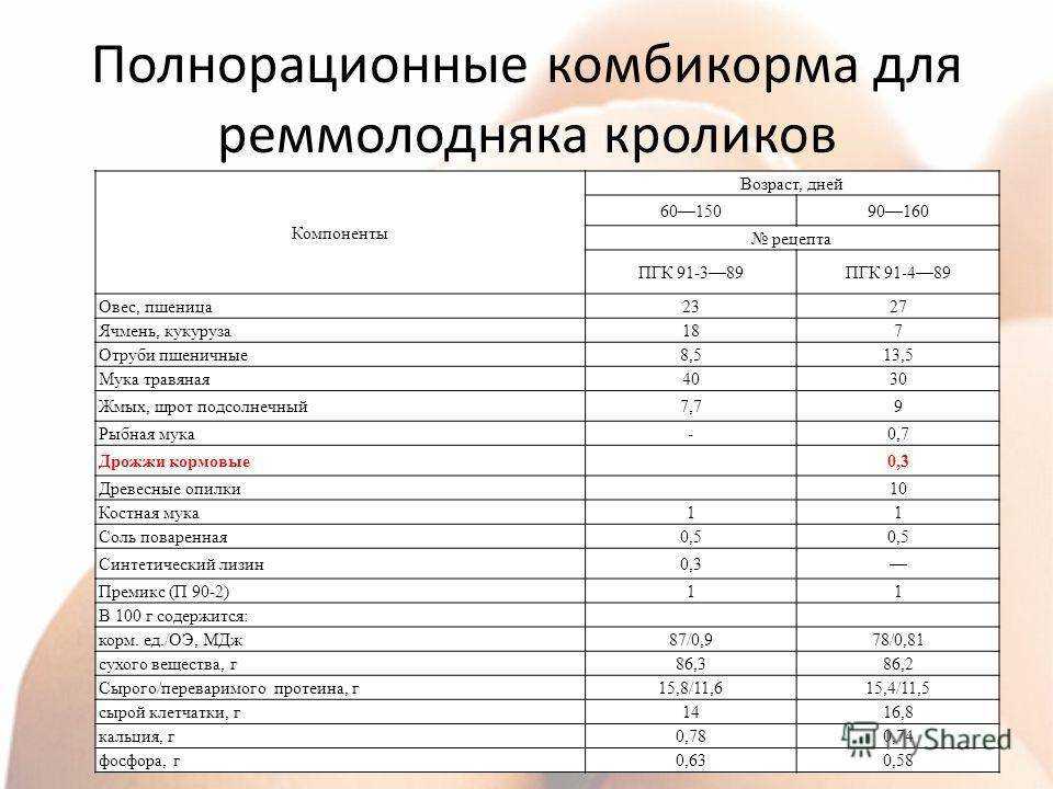 Лучший корм для кроликов - состав и нормы кормов для кроликов