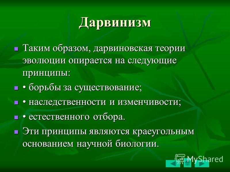 Дарвинизм и антидарвинизм кратко