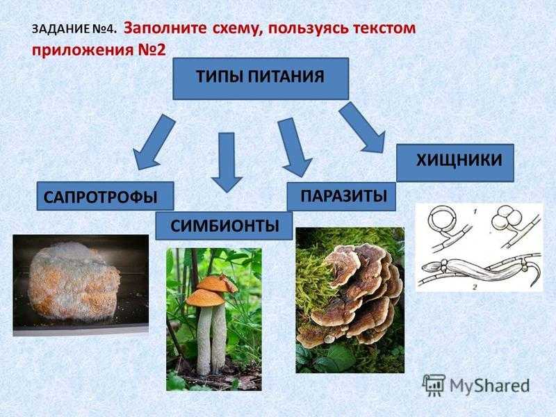 Тип питания