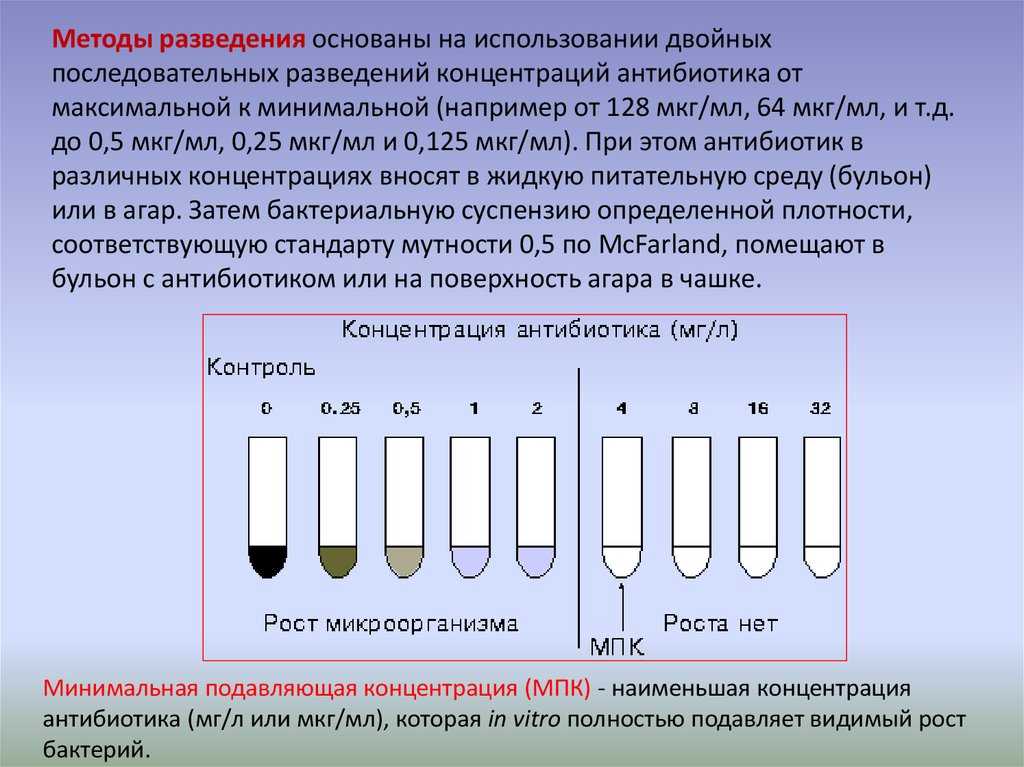 Как определяют чувствительность бактерий к антибиотикам