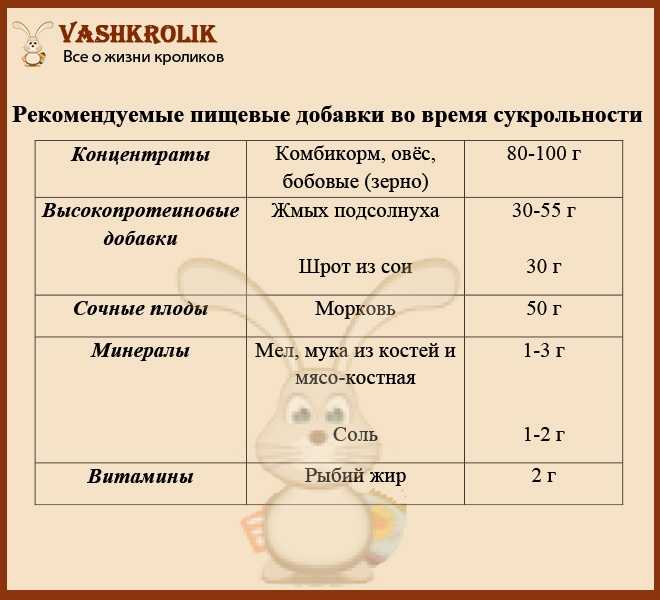 Как кролики гнездо вьют