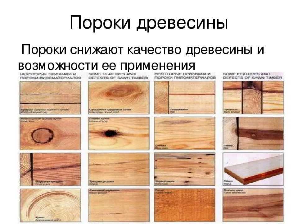 Инородные включения и дефекты [1974 - - круглые лесоматериалы. справочник]