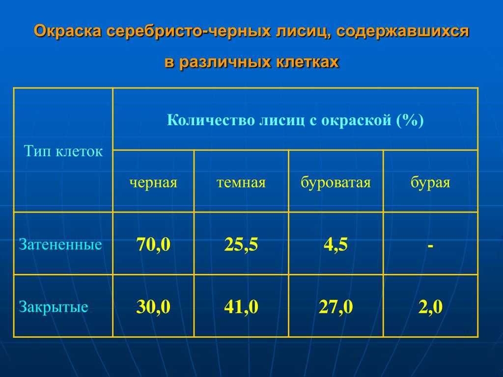 Гигиена кроликов и пушных зверей
