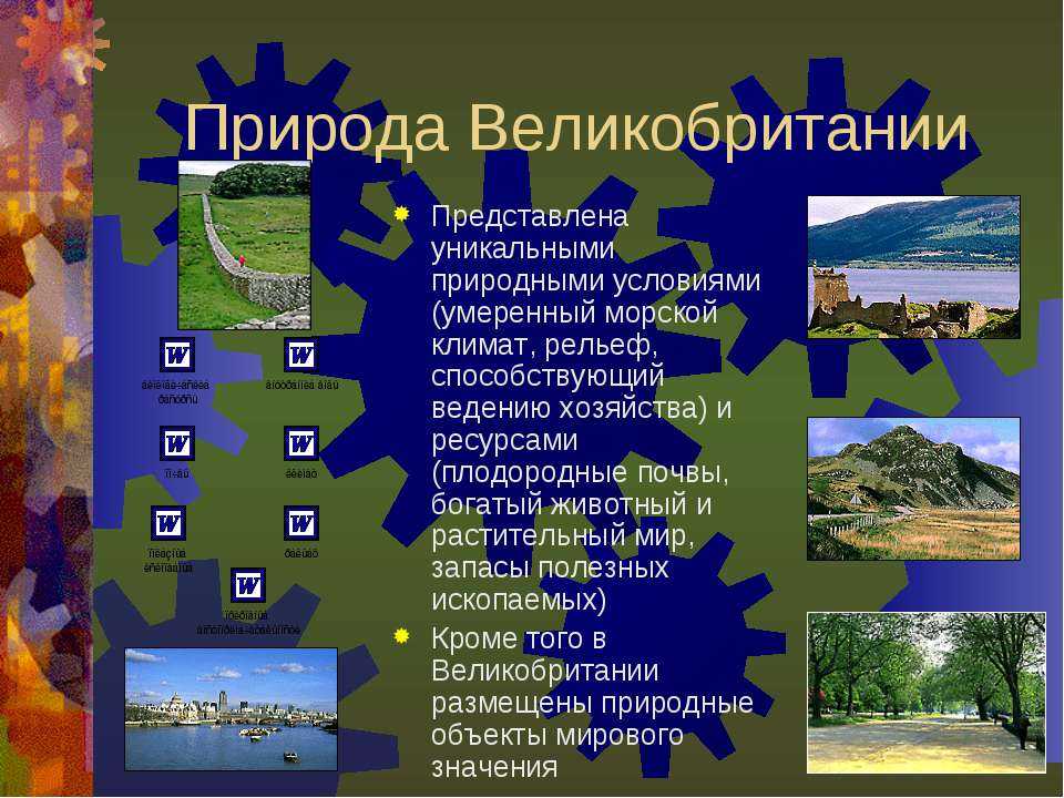 География великобритании: рельеф, климат, полезные ископаемые, флора и фауна