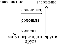 Солонцы почвы и солончаки: промывание, гипсование, кислование, фитомелиорация
