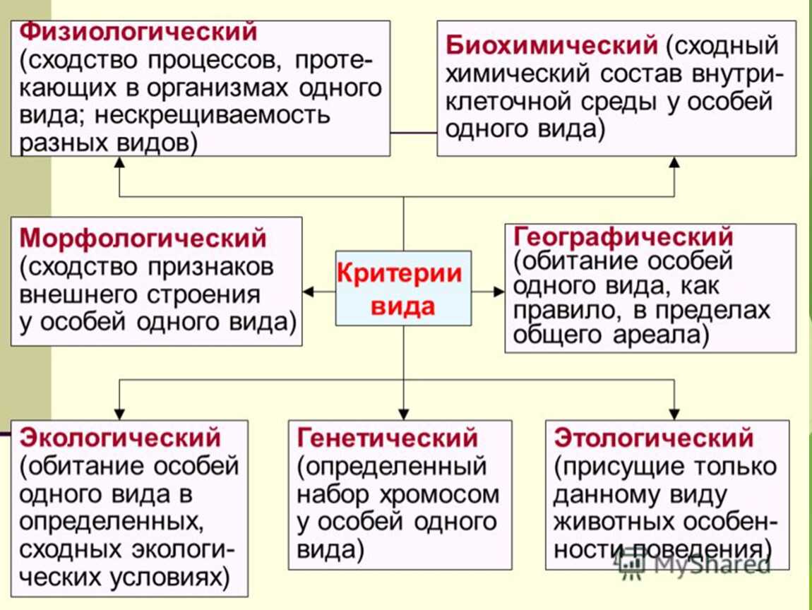 § 36. вид — биологическая система. критерии вида