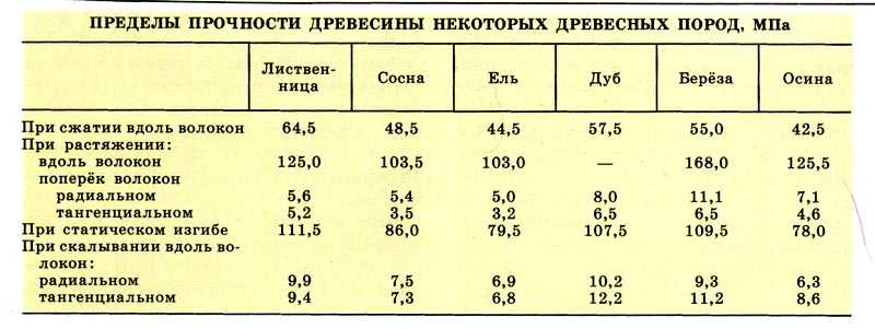 Строение древесины: особенности, элементы, химический состав - все о дереве