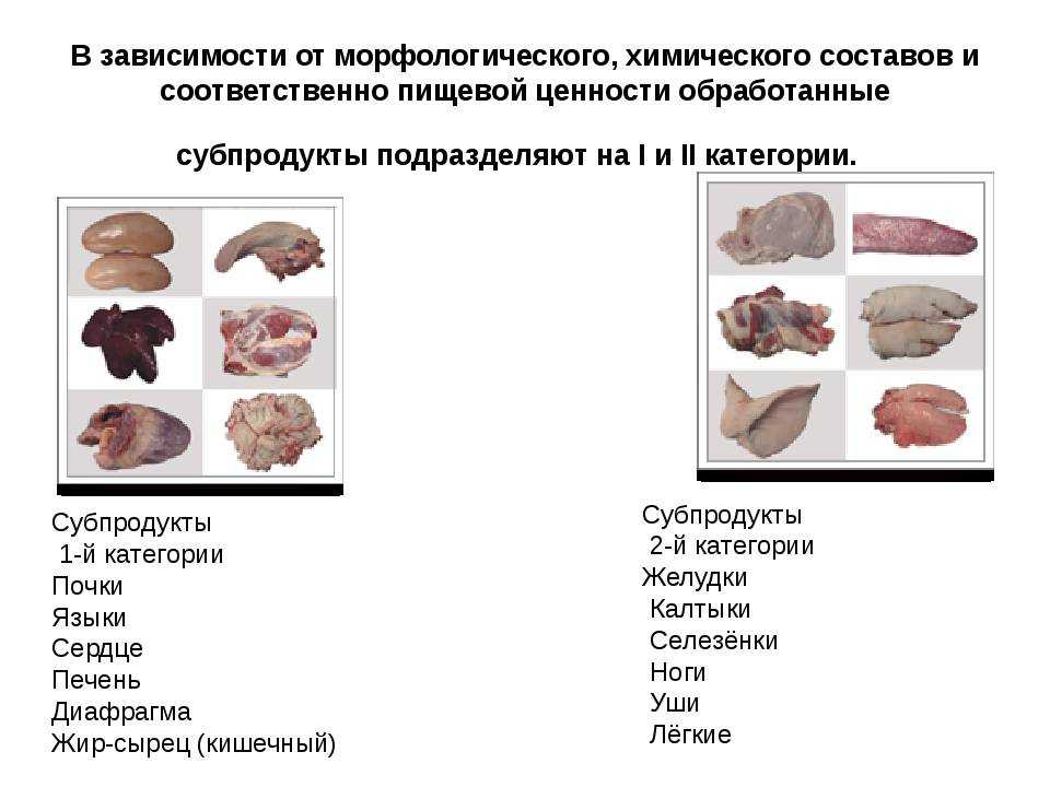 § 27. значение мяса и субпродуктов в питании человека. механическая обработка мяса животных | технология. 8 класс. авторский коллектив: е. с. глозман, е. н. кулакова, ю. л. хотунцев, о. а. кожина, и. в. воронин, в. в. воронина, а. е. глозман