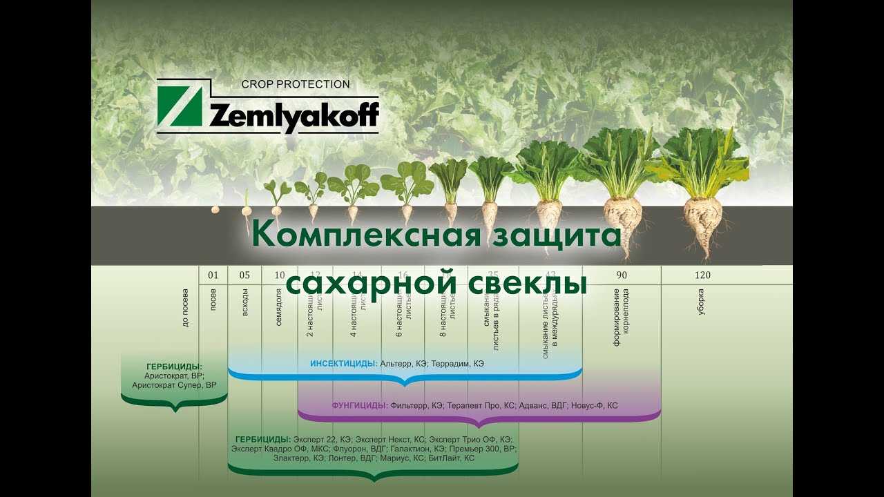 Опрыскивание - посев - зерновая культура
 - большая энциклопедия нефти и газа, статья, страница 1