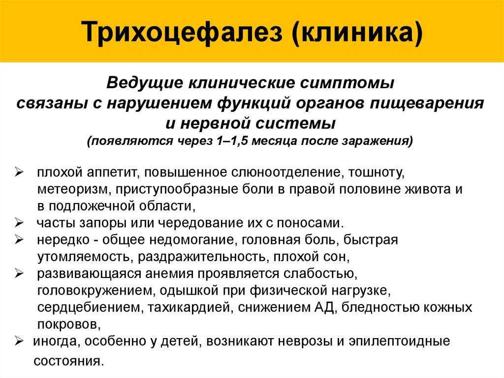 Трихоцефалез