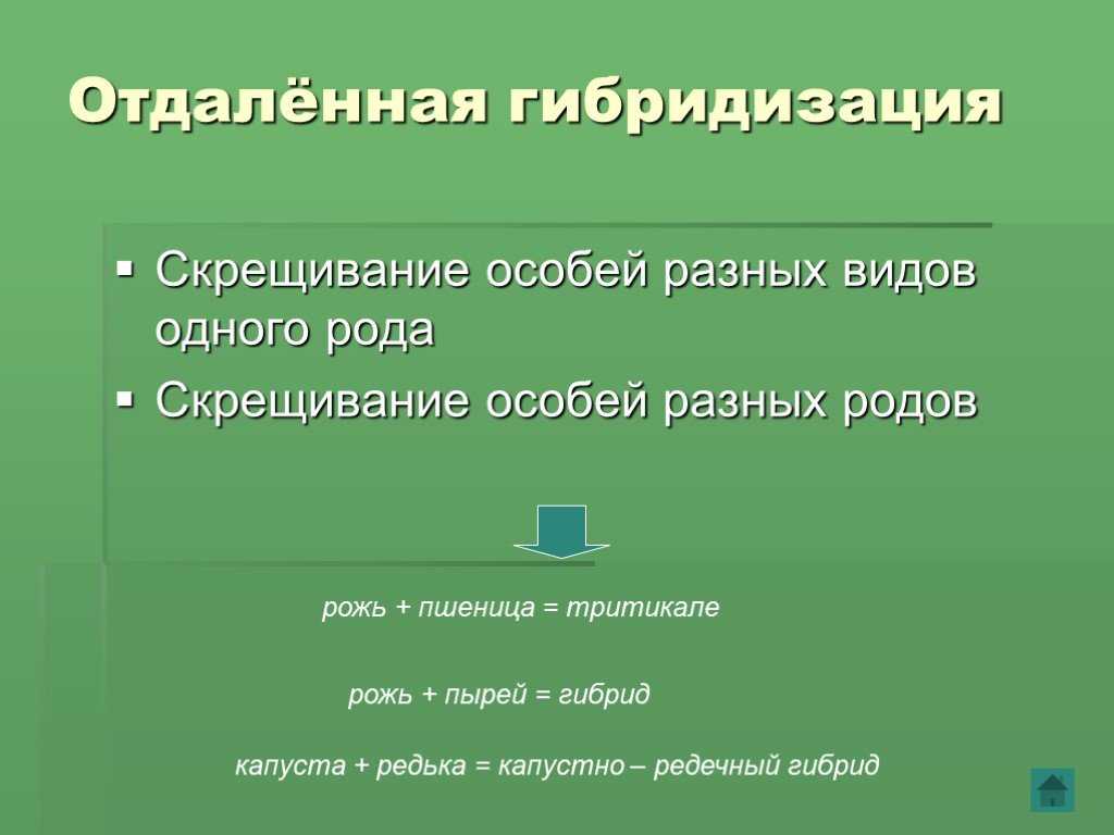 Методы селекции живых организмов | организм как биологическая система | теория | решутест. продвинутый тренажёр тестов
