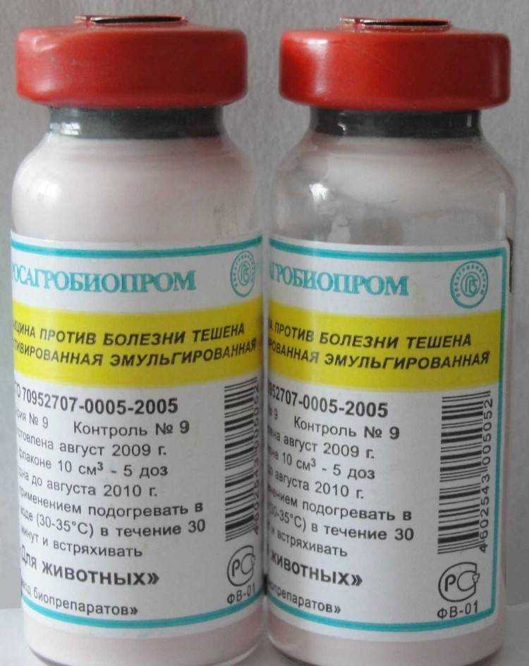 Эзофагостомоз