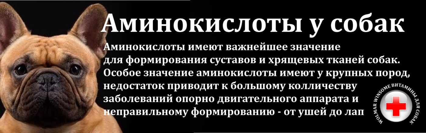 Авитаминоз у животных - признаки и лечение  | beleka.by