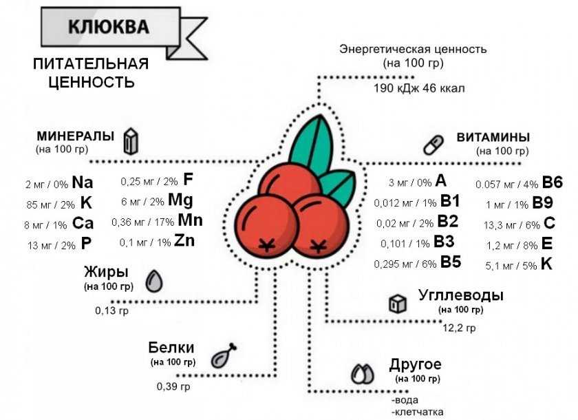 Клюква. целебные свойства. рецепты.