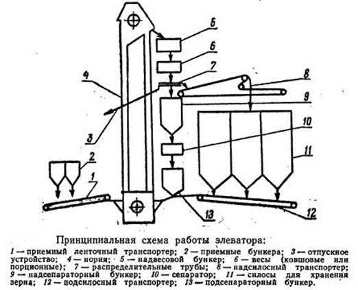 Нория – принцип действия, где используется.