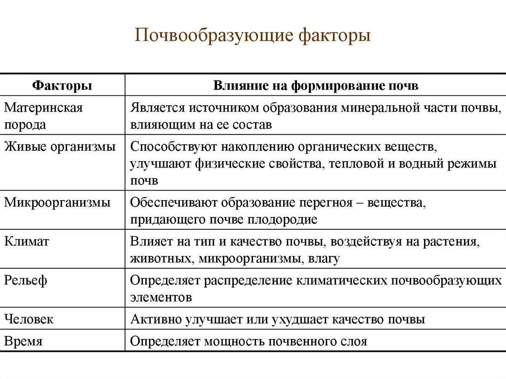 Этапы почвообразовательного процесса кратко