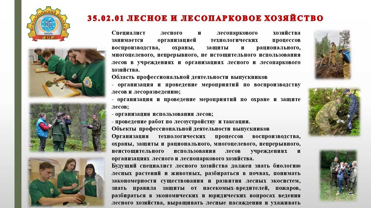 Особенности ведения хозяйства в рекреационных лесах. реферат. сельское хозяйство. 2012-11-08