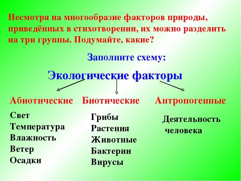 Механизм воздействия прямых и косвенных факторов среды на образовательную организацию | авторская платформа pandia.ru