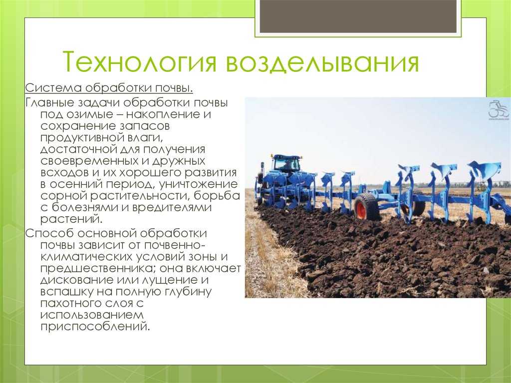 Обработка почвы в чистых занятых парах