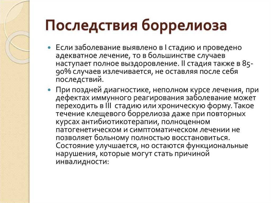 Спирохетоз (боррелиоз) - зооветеринарный портал беларуси 1vet.by