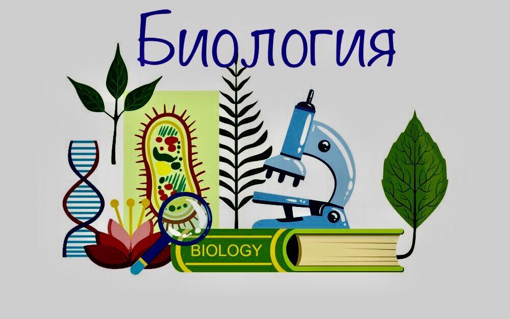 5.1. мутации. генетика человека с основами общей генетики [учебное пособие]