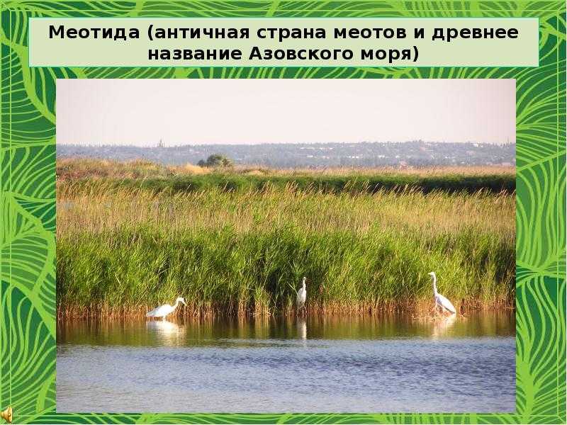 Презентация - удивительный мир природы донбасса
