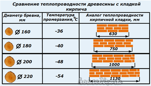 Свойства древесины: механические, физические, технологические