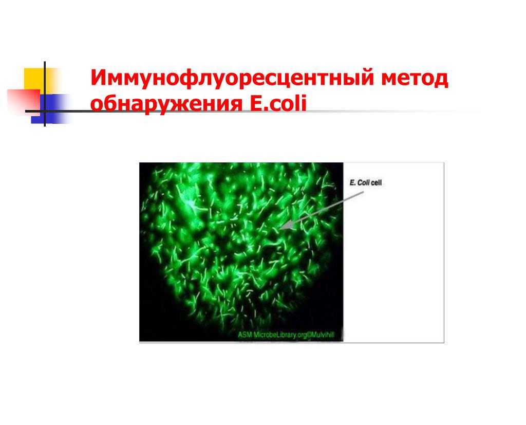 Методы серологической диагностики сифилиса
