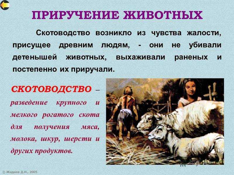 Одомашнивание животных