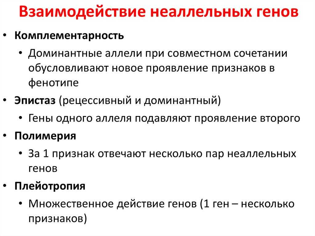 Взаимодействие генов кратко и понятно