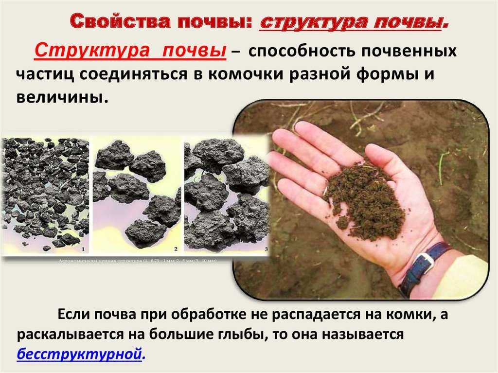 Презентация на тему "типы почвенных режимов" по биологии для 4 класса