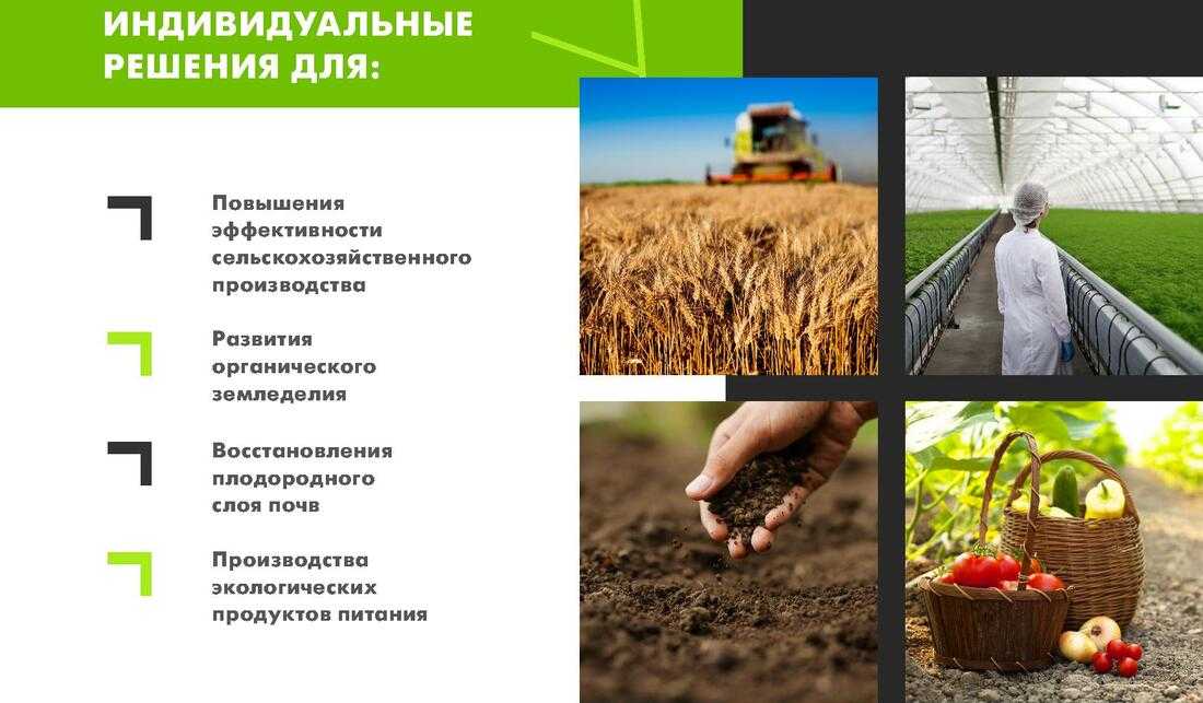 Севооборот