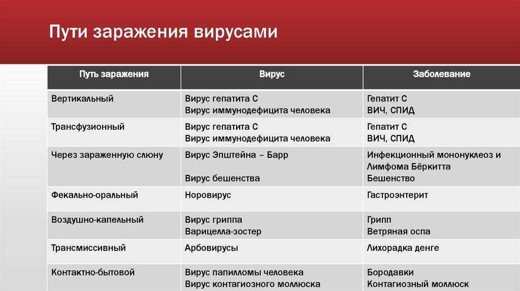 Царство вирусов