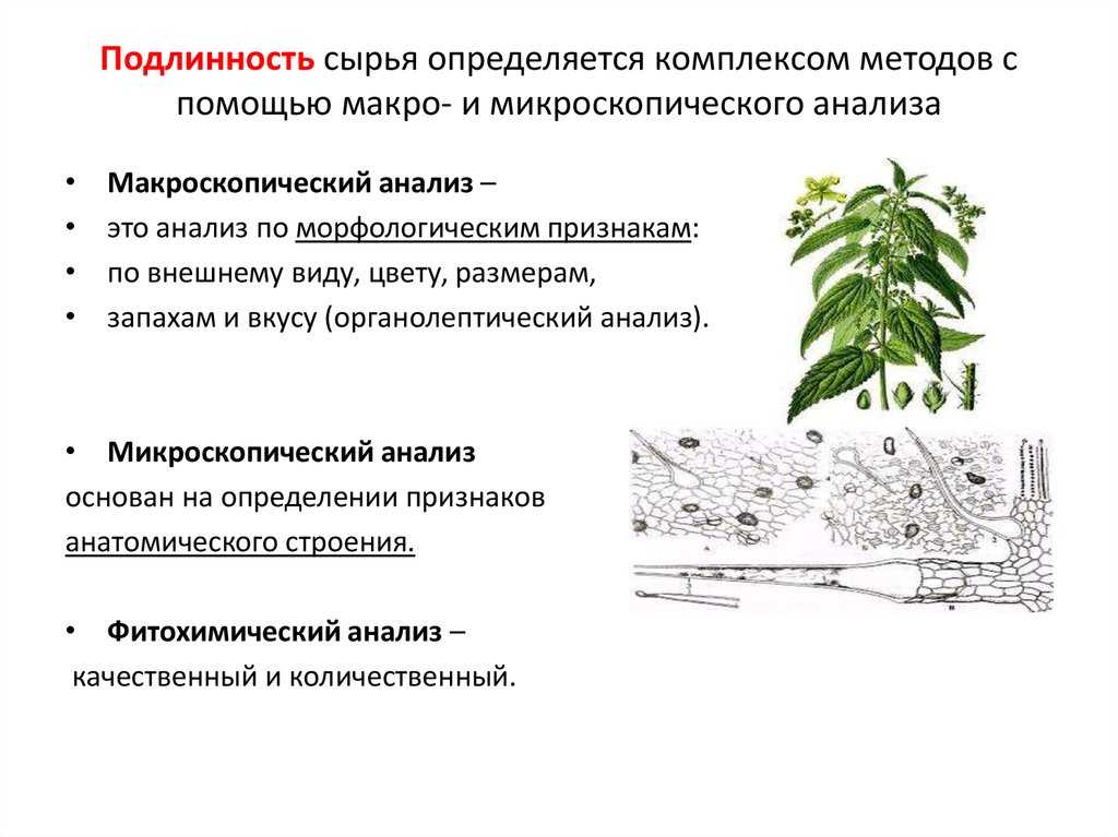 Совершенствование определения компонентного состава сырья и продуктов животного и растительного происхождения  рощупкина луиза владимировна