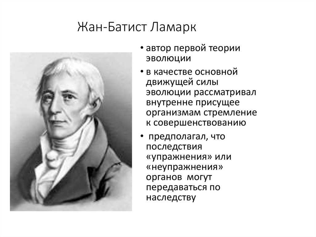 Недостатки теории ламарка кратко