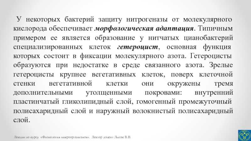 Биологическая фиксация азота